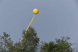 IMG_6231r