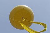 IMG_9236r
