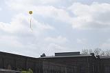 IMG_9289r