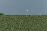 IMG_9544_DxO