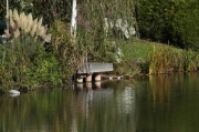 IMG_8280r