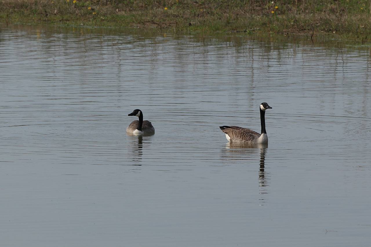 IMG_3716r