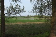 IMG_3704r