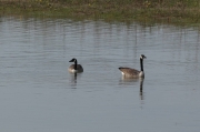 IMG_3716r