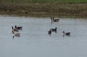 IMG_3717r