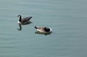 IMG_3731r