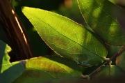 IMG_3669r