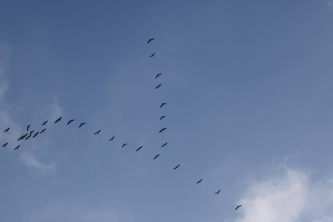 IMG_5124r