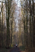 IMG_5392r