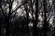 IMG_5394r