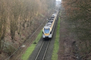 IMG_5489r
