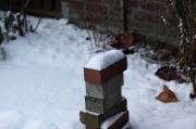 IMG_5630r