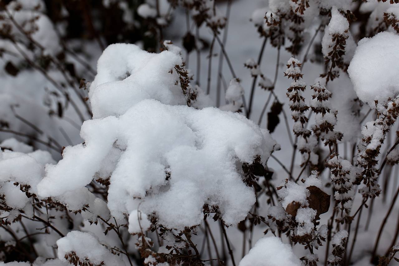 IMG_6360_DxO_raw