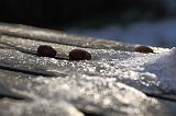 IMG_5826r