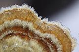 IMG_5901ra