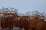 IMG_5919_DxO_raw