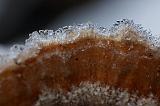 IMG_5927_DxO_raw
