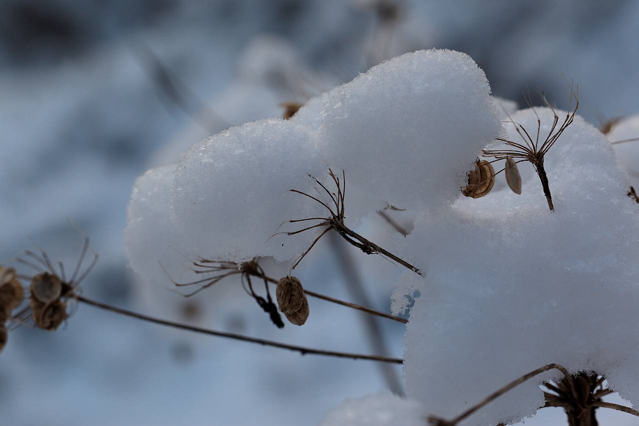 IMG_6892_DxO_raw