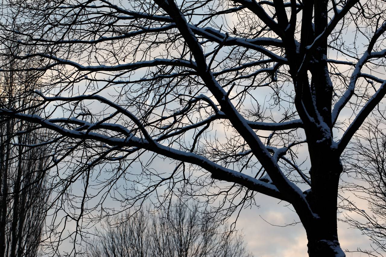 IMG_6921_DxO_raw