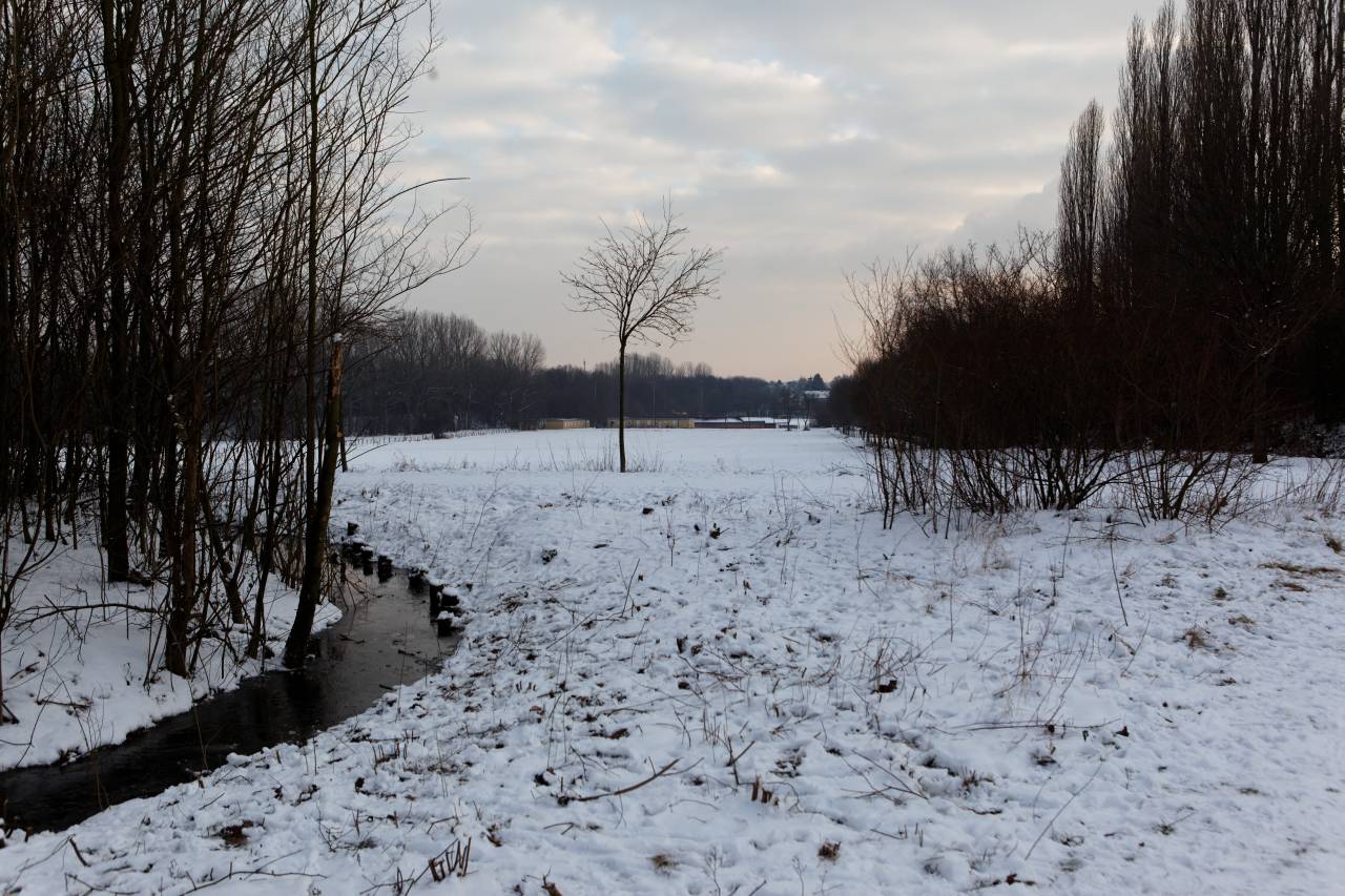 IMG_6968_DxO_raw