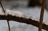 IMG_6794_DxO_raw
