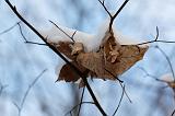 IMG_6820_DxO_raw