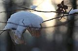 IMG_6825r