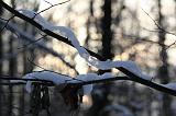 IMG_6830r