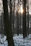 IMG_6840r