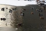IMG_6865r
