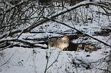 IMG_6876r
