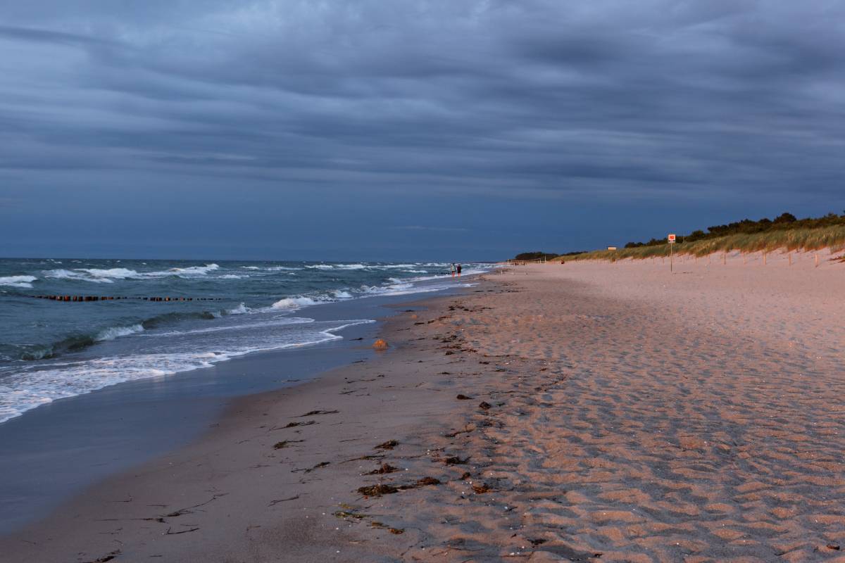 038IMG_8630_DxO