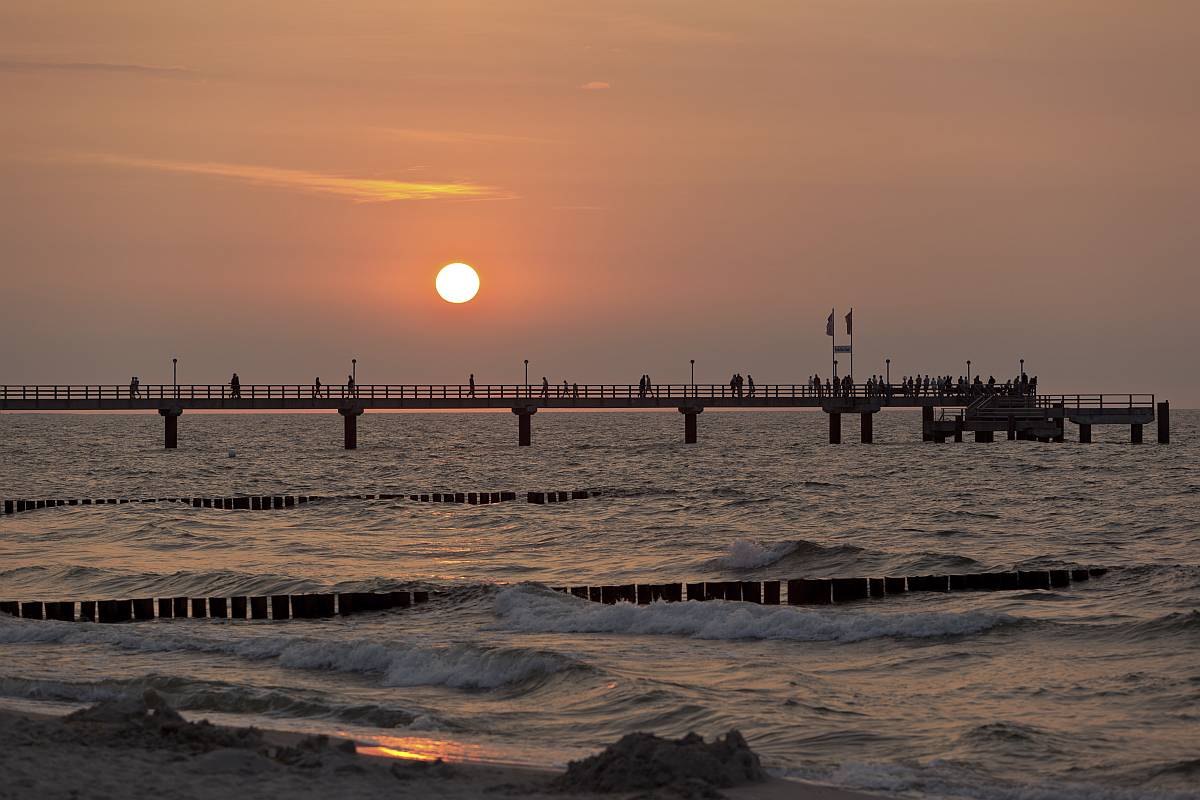 115IMG_9888p