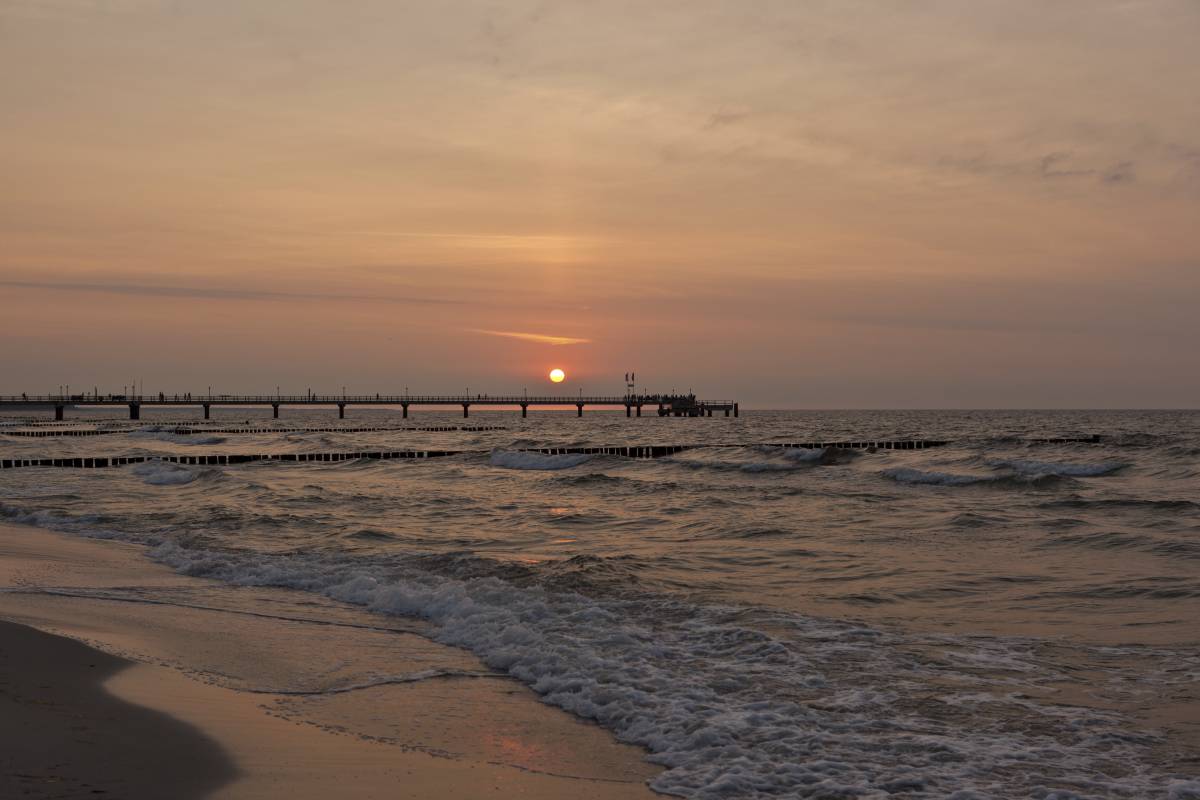118IMG_9893p