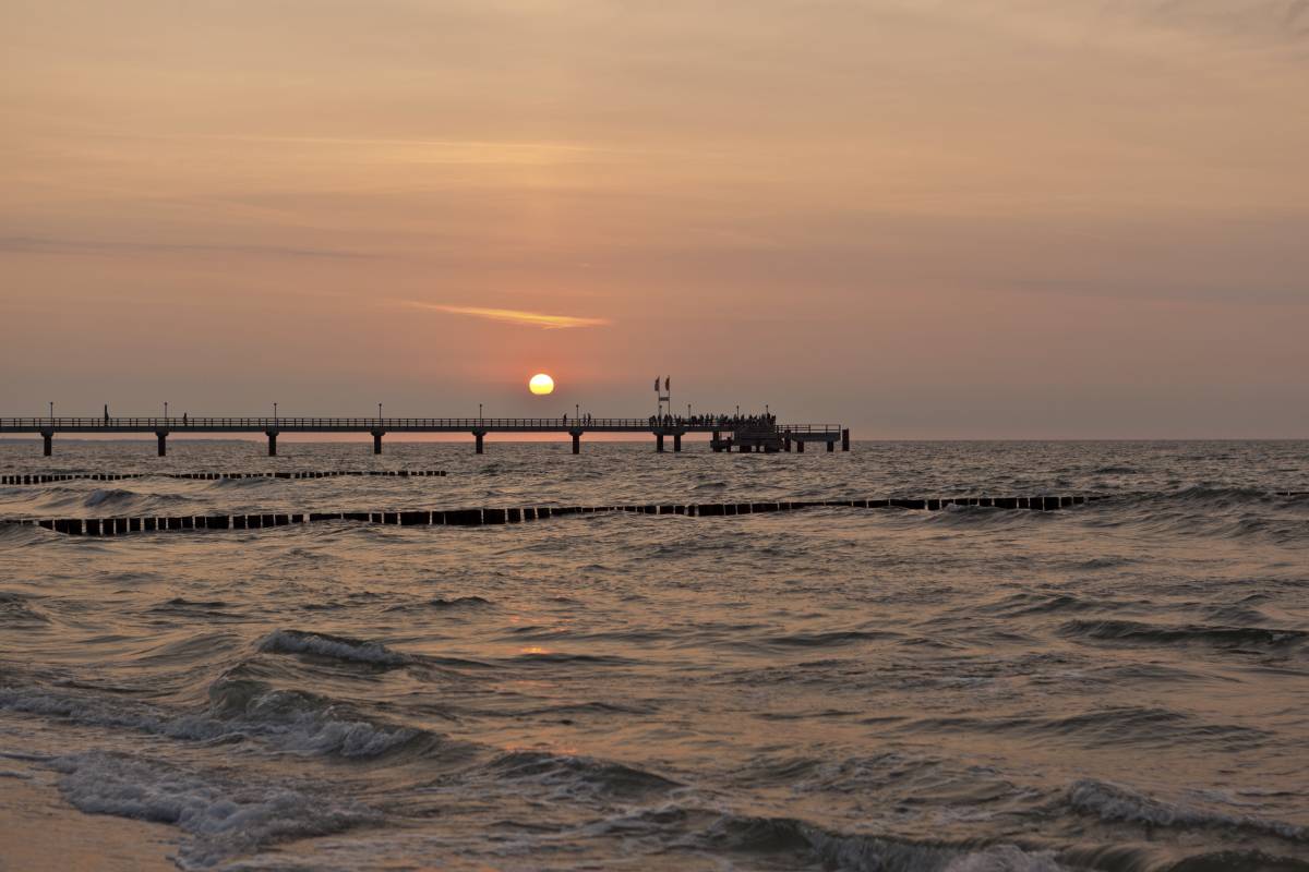 119IMG_9898p