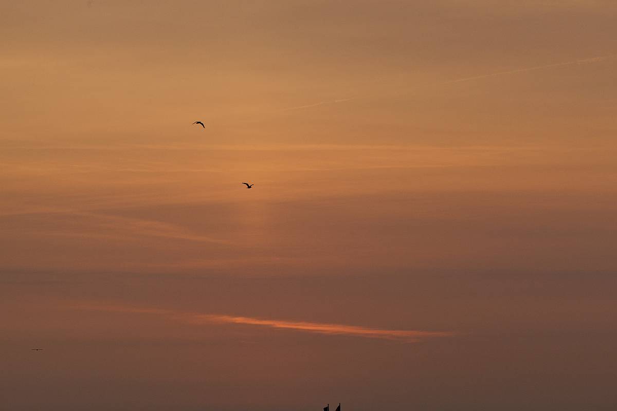 122IMG_9925p