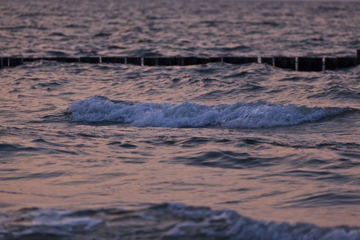 136IMG_0004p