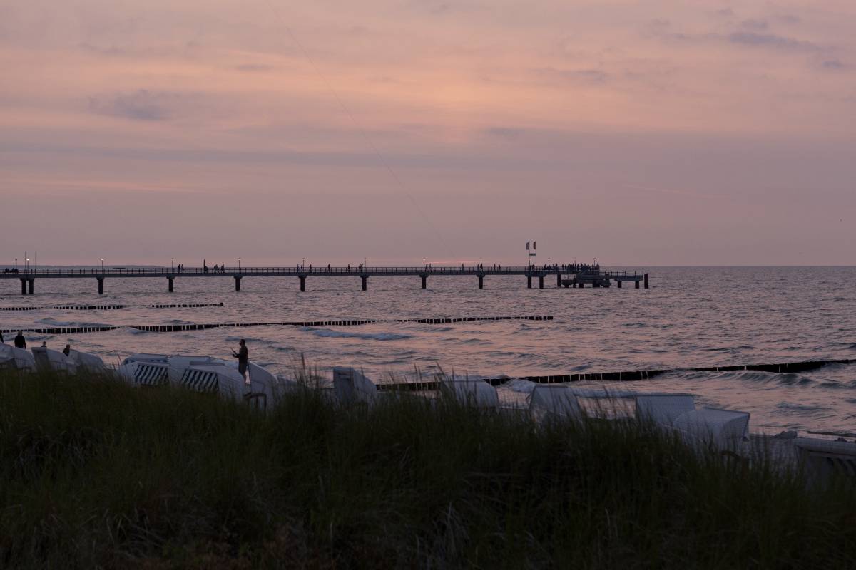 139IMG_0019p