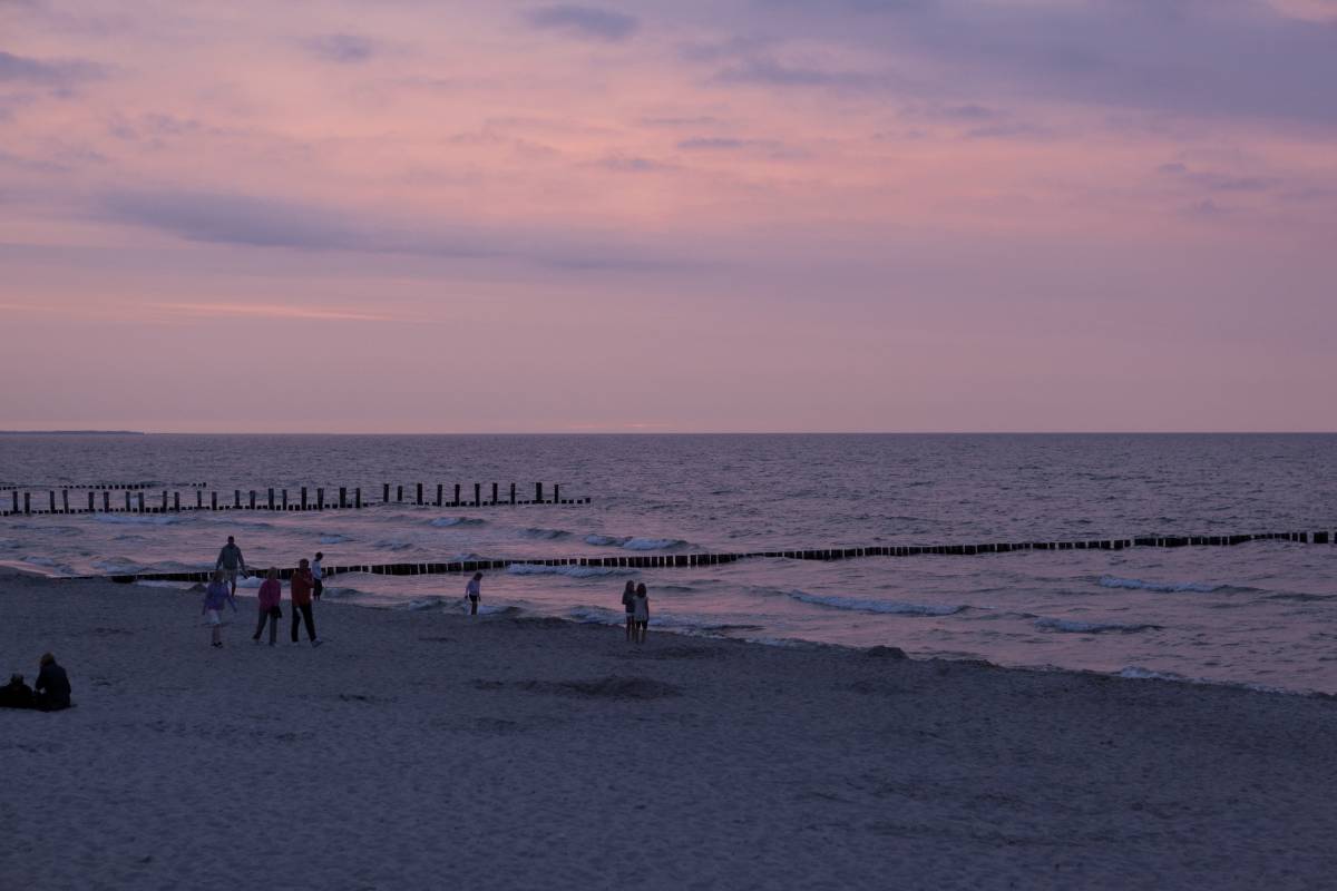141IMG_0021p