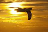 049IMG_8660p
