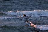056IMG_8679_DxO