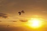 057IMG_8681p
