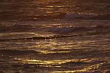 059IMG_8693r