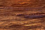 060IMG_8694_DxO