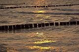 110IMG_9866p