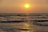111IMG_9867p