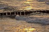 112IMG_9871p
