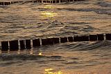 113IMG_9876p
