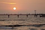 116IMG_9890p