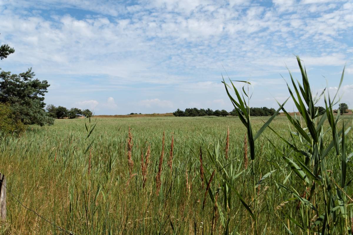 IMG_0598_DxO